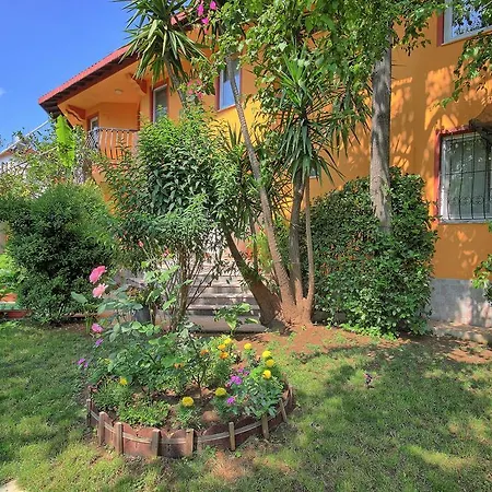 Mandalinn ホテル 3*