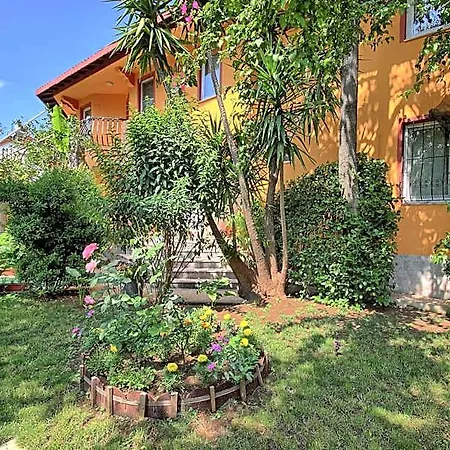 Mandalinn Dalyan